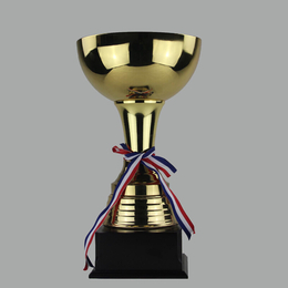 篮球足球比赛奖杯励志学院奖杯奖品销售供应缩略图
