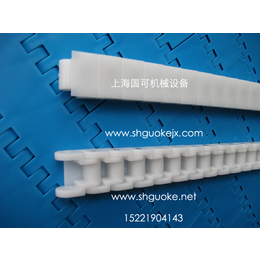 RS60P塑料链条-光伏塑料链条上海国可报价