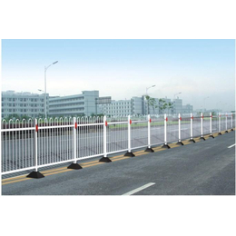 阳江交通护栏 云浮市政护栏 隔离护栏生产厂家安装