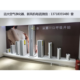 北京远大空气净化商城 空气净化器缩略图