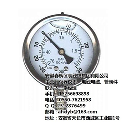 山东隔膜压力表、安徽春辉集团、隔膜压力表选型