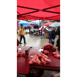 2017年阆中市洪山马氏猪肉销售店生鲜猪肉
