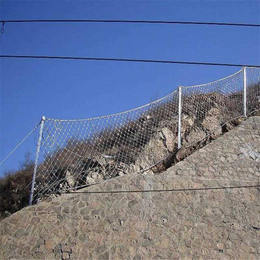 边坡防护网网防冲刷 山体覆盖镀锌钢丝绳网 ****生产厂家