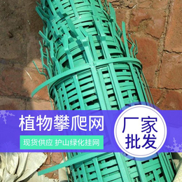 贵州边坡绿化爬藤网 绿色绿化植物爬藤网 拓林爬藤网生产厂家