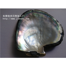 佳禾贝壳表面(图),鄂州市贝壳,贝壳