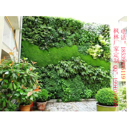 枫林可定制新款人造植物墙装饰墙垂直绿化适用于各种场所缩略图