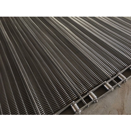 威诺网链机械供应水饺平板速冻机304不锈钢网带生产厂家