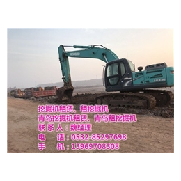 挖掘机出租(图),青岛胶州挖掘机出租地址,挖掘机