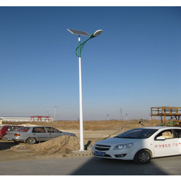河北沧州太阳能路灯厂家为您低价提供6米30w太阳能路灯