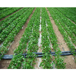 合肥灌溉设备|安徽安维|灌溉设备公司