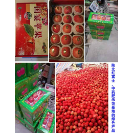 广南叶面肥|拜农生物科技(在线咨询)|苹果果树氨基酸叶面肥