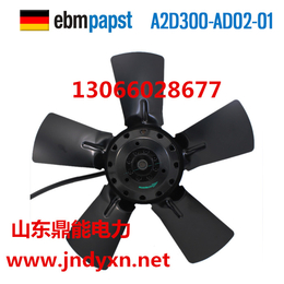 德国EBM A2D300-AD02-01缩略图