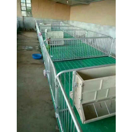 温县保育床|猪宝宝养殖设备|小猪保育床