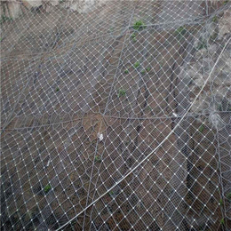 边坡防护网现货|攀枝花边坡防护网|边坡防护网厂家