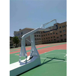 大学用遥控新型电动液压篮球架,湛江篮球架,天健资讯(查看)