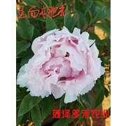 菏泽多禾农业发展有限公司