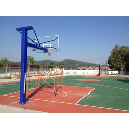 临澧县篮球、篮球架品质哪里的好、金成体育/地面