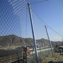 SNS边坡防护网 钢丝绳网品牌厂家 *