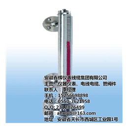 湖南压力式液位计,压力式液位计型号,安徽春辉集团(****商家)