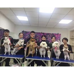 山西训犬培训_爱心北方宠物*_山西哪有训犬培训学校