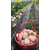 红颜草莓苗基地,草莓苗,乾纳瑞农业科技好品质缩略图1