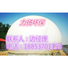 黑龙江Z气储气柜的传统设备-力扬环保