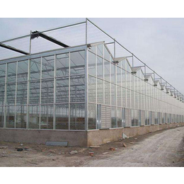 玻璃大棚造价,安徽玻璃大棚,合肥小农人厂家