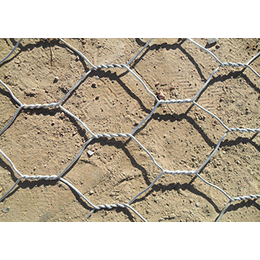 镀锌石笼网规格,上海镀锌石笼网,威友丝网