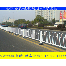 厂家供应 热镀锌隔离栅 公路防护栏* 龙川建设路护栏图片
