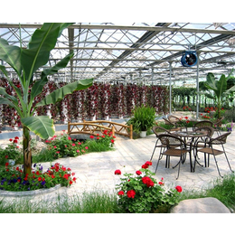 安徽温室大棚、合肥新一佳、阳光板温室大棚