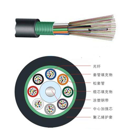 广州汉信-GYTS层绞式钢铠装光缆 