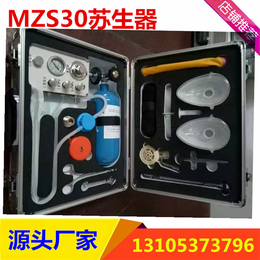 供永煤MZS30苏生器自动便携式 ****厂家