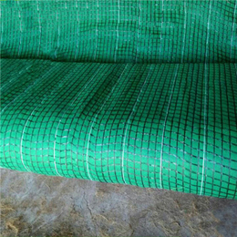 *冲生态毯西安厂家,陕西*冲生态毯绿化,*冲生态毯