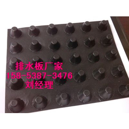 沧州3米幅宽透水板塑料凸片排水板15853873476