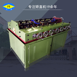 广东省东莞市空调管50型14辊轮矫直机