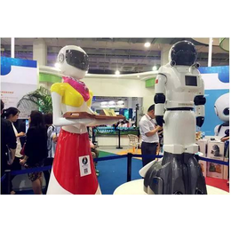 2018北京国际机器人展览会