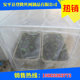 防虫网 大棚防虫网 蔬菜大棚防虫网 果树防虫网-登隆网业