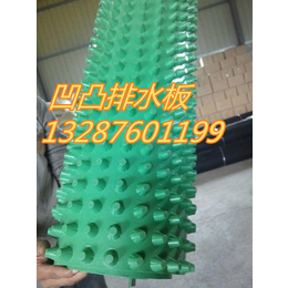 杭州20厚塑料防护排水板厂家