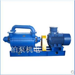 泊泵机电供应真空泵设备 2BV2液环式真空泵及压缩机 