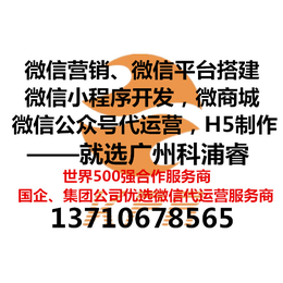 广州微信代运营 专注微信公众平台服务 微信推广公司