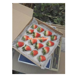 乾纳瑞(图)、草莓苗价格、北京草莓苗