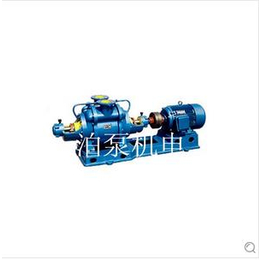 信宜出售 SZ系列水环式真空泵 泊威厂家大量供应
