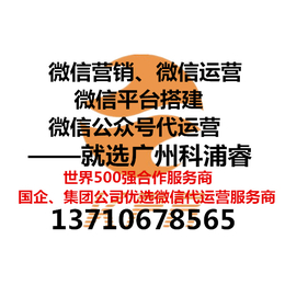 企业微信公众号代运营 微信营销推广服务就找广州科浦睿