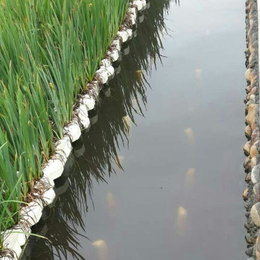 白洋淀绿荷水生植物(图)|生态仿水草填料|水草填料