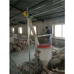 黑龙江猪舍料线、牧鑫养殖设备、猪舍料线生产厂家