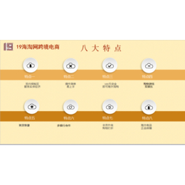 19海淘电商平台以商城模式