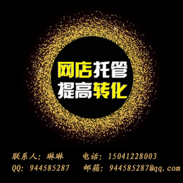 沈阳淘宝托管新手店铺如何推广