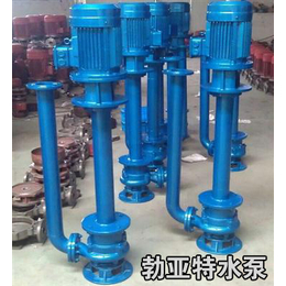 江苏省徐州市 矿用 立式排污泵 潜水泵 大型水泵 生产厂家