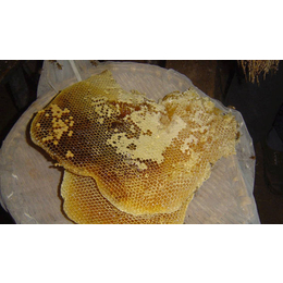 崇左农家蜂蜜|广西农家蜂蜜供应商|【宝鸭塘】