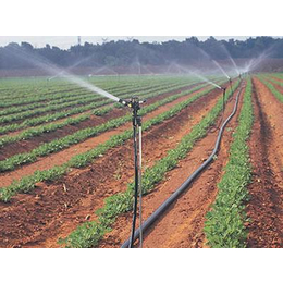 清润节水产品供应(图)、喷灌规格、厦门喷灌